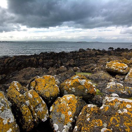 Groomsport Tern Cottage מראה חיצוני תמונה